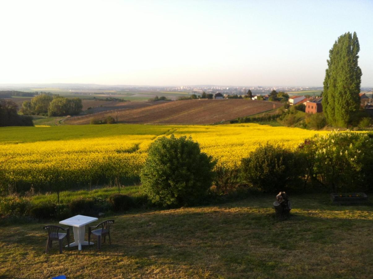 Villa Reims Epernay Champagne Vineyard Villers-Allerand Екстериор снимка